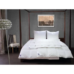 Billerbeck Daunenbettdecke »Enisa 80«, Leicht, Füllung 80% Daunen, 20% Federn, (1 St.)