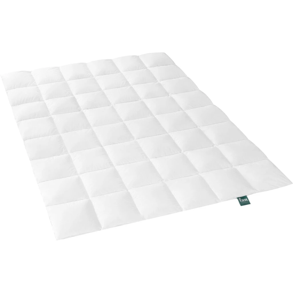 F.a.n. Schlafkomfort Gänsedaunenbettdecke »f.a.n. Island«, Normal, (1 St.)