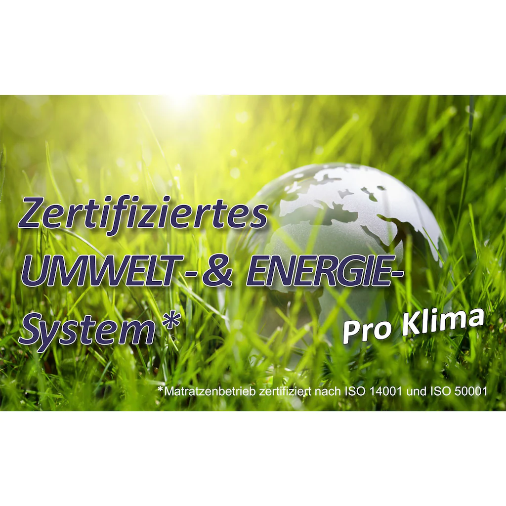 BeSports 4-Jahreszeitenbett »BeSports Premium«, 4-Jahreszeiten, (1 St.), Hohenstein Klimakomfort "sehr Gut" Getestet* – Bild 6