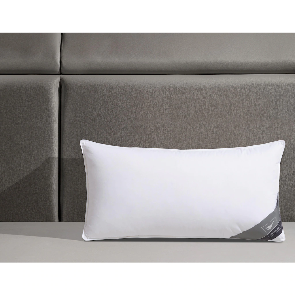 Haeussling 3-Kammer-Kopfkissen »Kuscheltraum«, Füllung: Außenkammern Mit 60% Daunen, 40% Federn, Bezug: 100% Baumwolle, (1 St.), Mit - Hausstaub- & Milbenbarriere – Bild 3