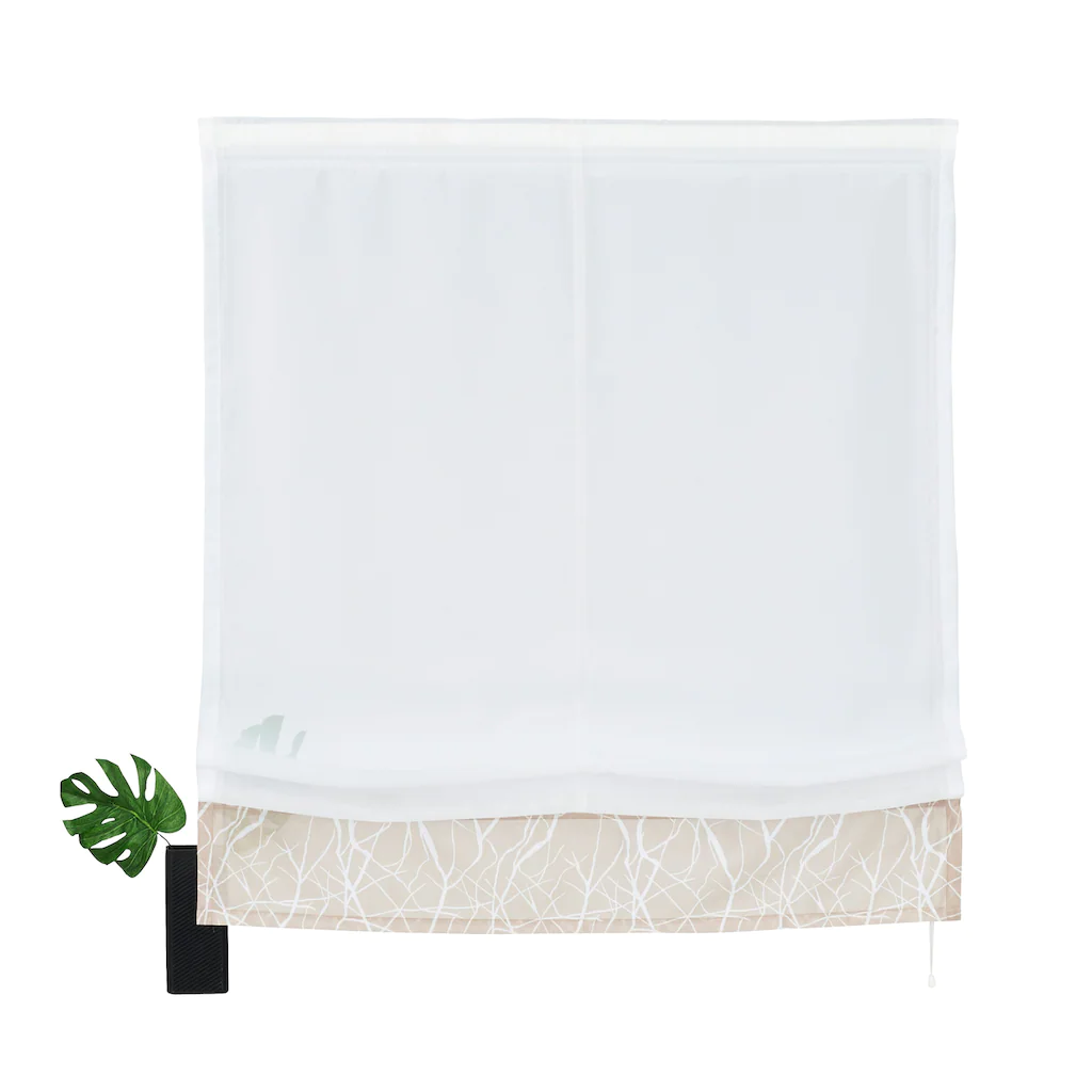 My Home Raffrollo »Camposa«, Mit Klettband, Transparent, Voile, Polyester