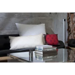 Centa-Star Federkissen »Kissen Deluxe Medium«, Füllung: 70% Federn, 30% Daunen, (1 St.)