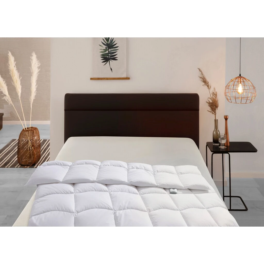 F.a.n. Schlafkomfort Gänsedaunenbettdecke »f.a.n. Island«, Normal, (1 St.) – Bild 5