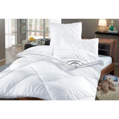 F.a.n. Schlafkomfort Microfaserbettdecke »Climacontrol® II M. Baumwollbezug«, Warm, Bezug 100% Baumwolle, (1 St.), Bettdecke In 135x200 Cm Und Weiteren Größen, Für Den Winter Geeignet