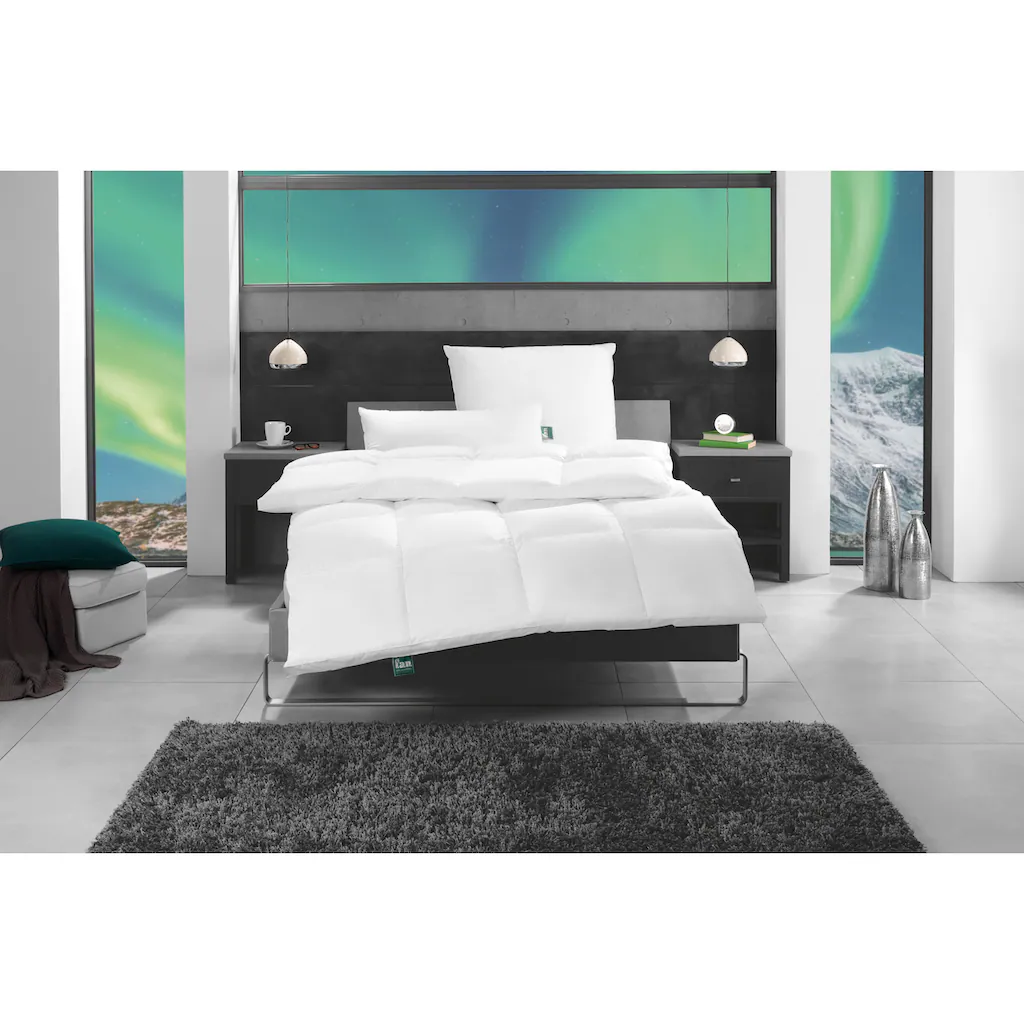 F.a.n. Schlafkomfort Gänsedaunenbettdecke »f.a.n. Island«, Normal, (1 St.) – Bild 6