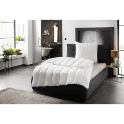 Billerbeck Microfaserbettdecke »Liliane«, Normal, Bezug 100% Baumwolle, (1 St.)